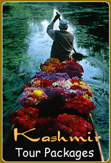 Kashmir Honeymoon Tours